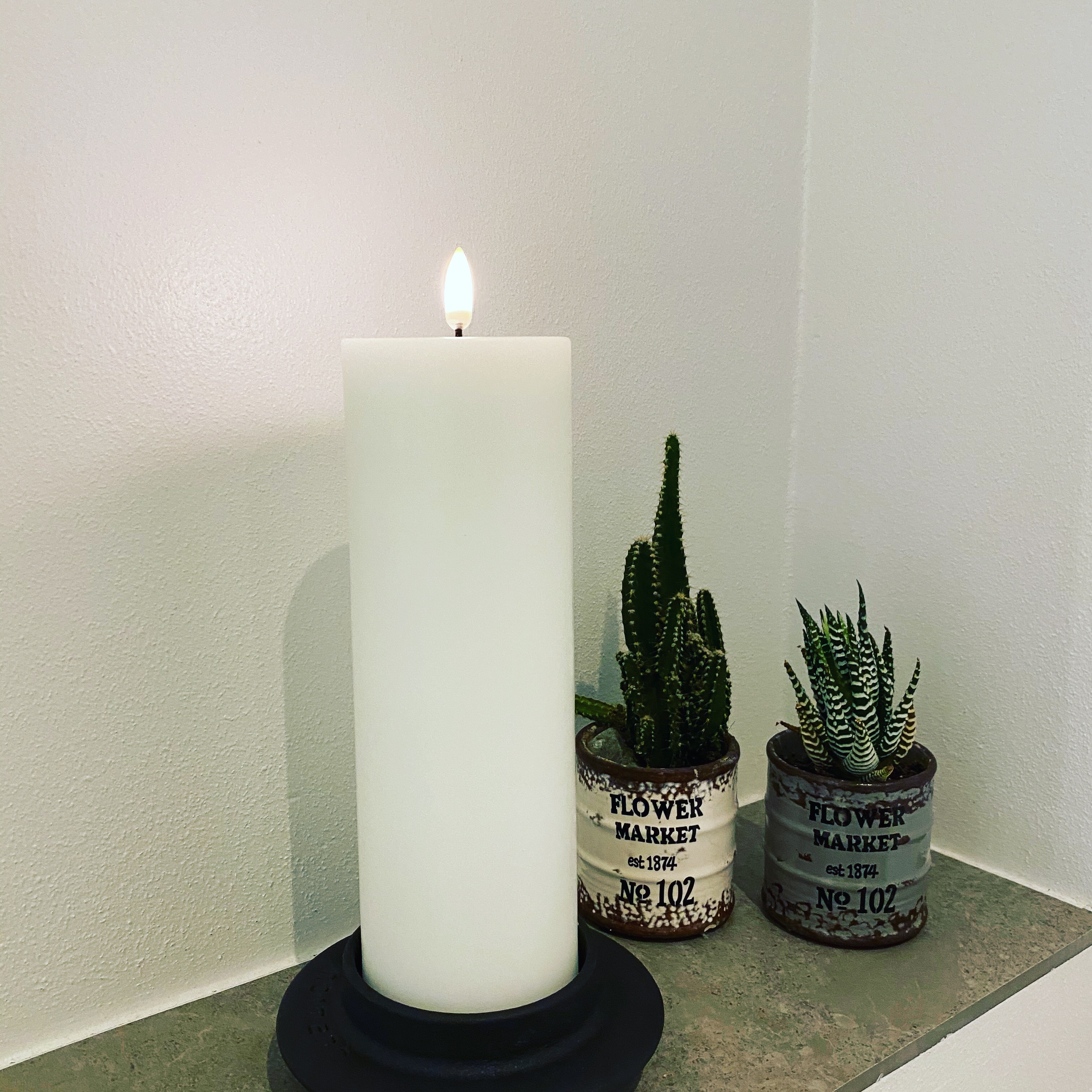 03B5818D-F66E-4896-AA9C-2212E296F37C